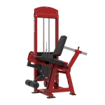 Dynamic Leg Extension